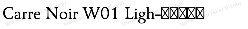 Carre Noir W01 Ligh字体转换